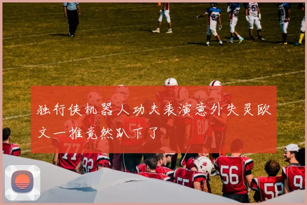 独行侠机器人功夫表演意外失灵欧文一推竟然趴下了